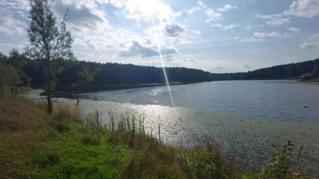 На Загорском водохранилище бровка решает больше приманки
