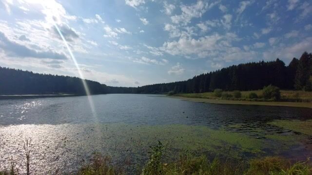 На Загорском водохранилище бровка решает больше приманки