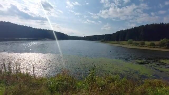 На Загорском водохранилище бровка решает больше приманки