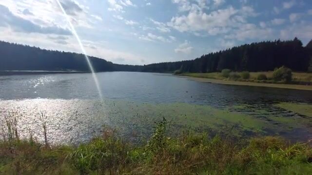 На Загорском водохранилище бровка решает больше приманки
