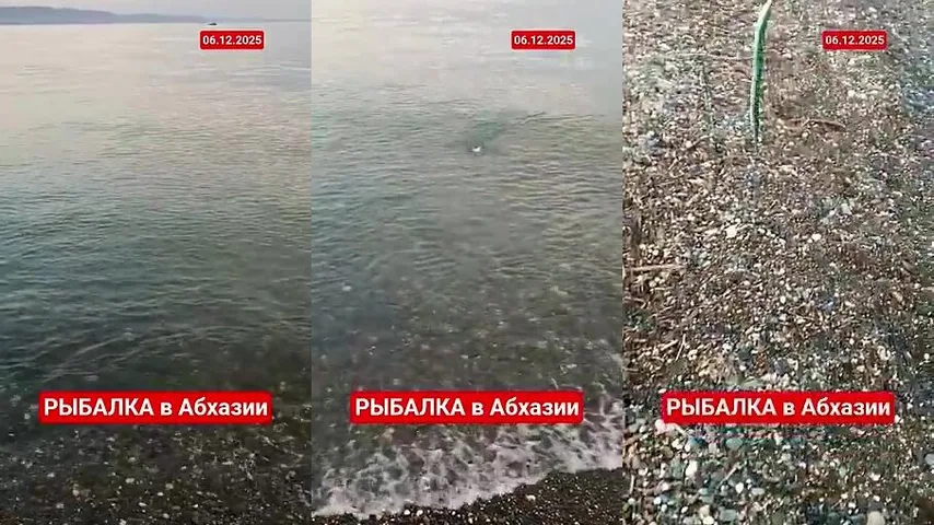 Загораются фонари над Сухумом, и к ним из темноты выходит сарган