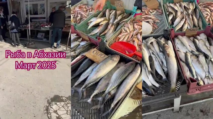В марте у Сухума барабуля жмётся к тёплым сливам