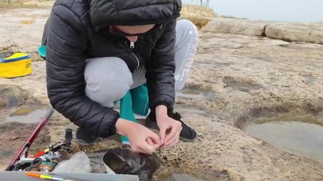 66 рыб при ветре 11 метров в секунду в дербентском парке «Золотая рыбка»
