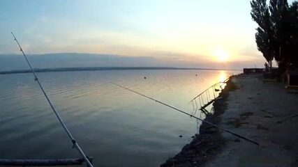 150 рублей на входе - и весь день клёва сазана на базе близ Таганрога