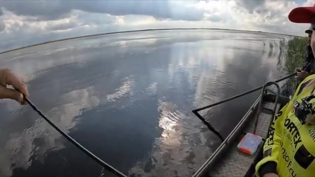 Щучьи окна среди камыша: поиск на плавнях Абрау-Дюрсо
