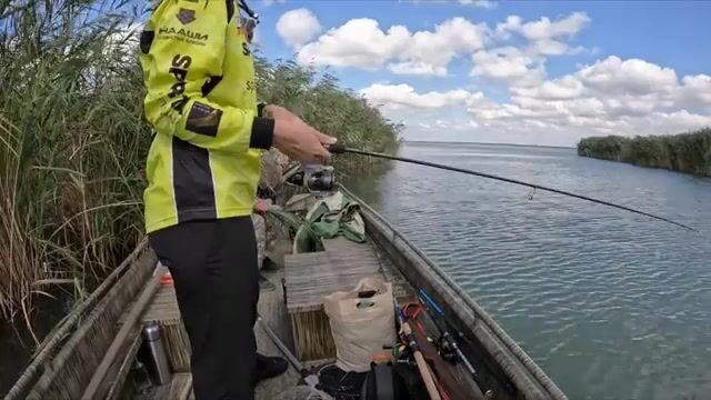 Щучьи окна среди камыша: поиск на плавнях Абрау-Дюрсо
