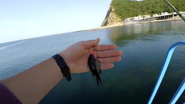 Кто прячется среди валунов озера Абрау?