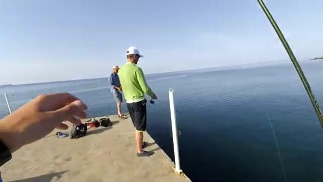 Кто прячется среди валунов озера Абрау?