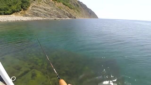 Кто прячется среди валунов озера Абрау?