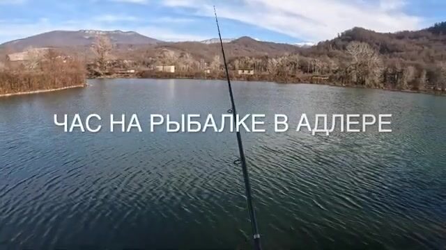 Три приманки за вечер: тактика поиска заков у мола в Адлере