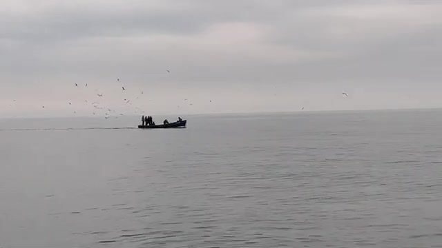 Адлер, зима: плюс двенадцать на берегу и ни одной поклёвки