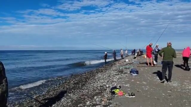 Где на адлерском берегу искать рыбу вечером, в самый штиль?