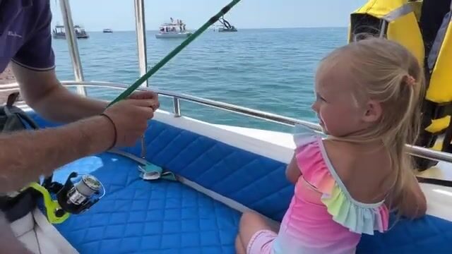 Ставрида, дельфины и морской дракон на сковороде - рейс из Кудепсты под Адлером
