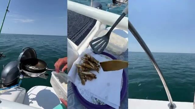 Ставрида, дельфины и морской дракон на сковороде - рейс из Кудепсты под Адлером