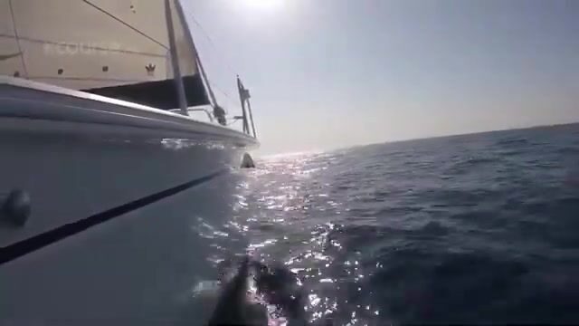 Выбирай яхту в Имеретинском порту Адлера с умом, а не наугад