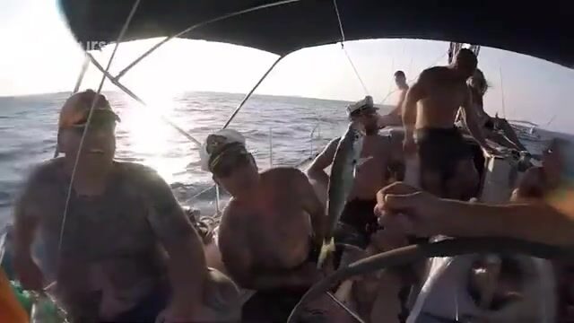 Выбирай яхту в Имеретинском порту Адлера с умом, а не наугад
