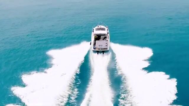Удочка или дельфины - что берём на выходе в море под Адлером?