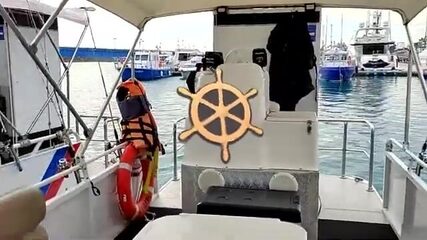 Ставрида, мерланг, к осени сарган - что поднимает самодур на катере под Адлером