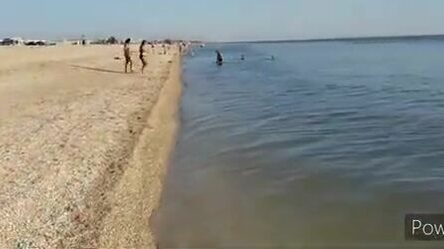 Тент от солнца, штиль на воде и бычок под конец - рыбалка с палаткой на Должанке