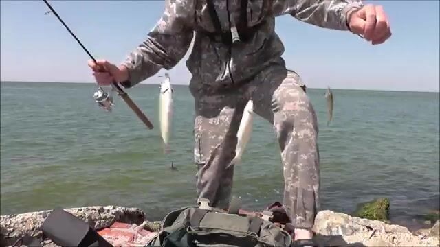 Бакланы, отводной поводок и первая поклёвка на Должанской косе