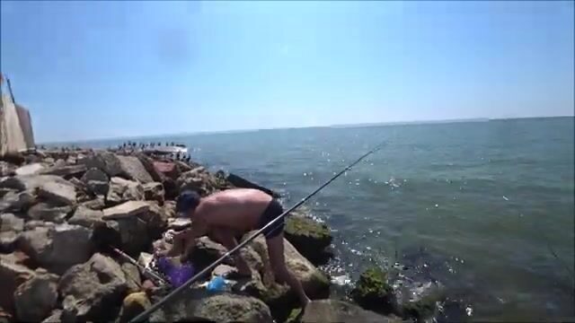 Бакланы, отводной поводок и первая поклёвка на Должанской косе