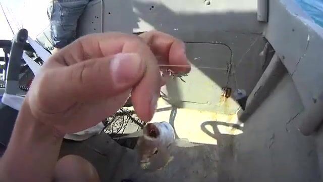 Ищи барабулю на мелководье, если рыбачишь в Витязево
