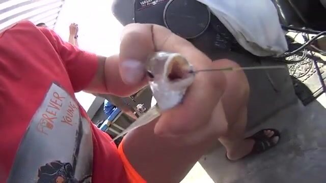 Ищи барабулю на мелководье, если рыбачишь в Витязево