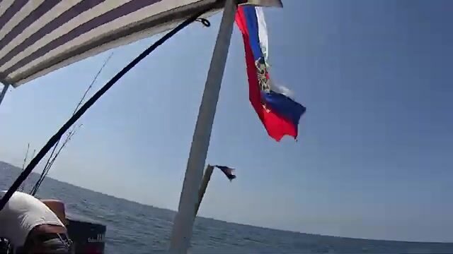 Где под Витязевом искать саргана, пока пляж пуст?