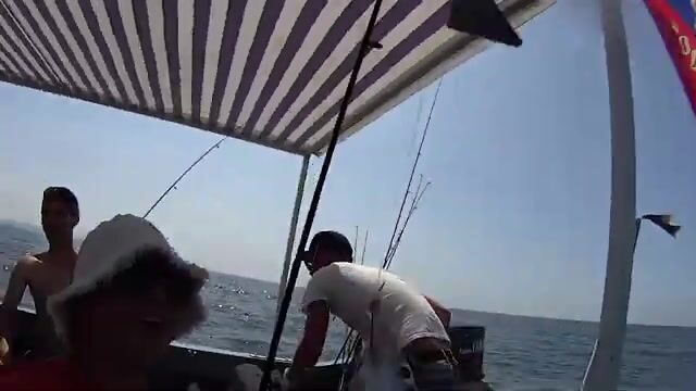 Где под Витязевом искать саргана, пока пляж пуст?