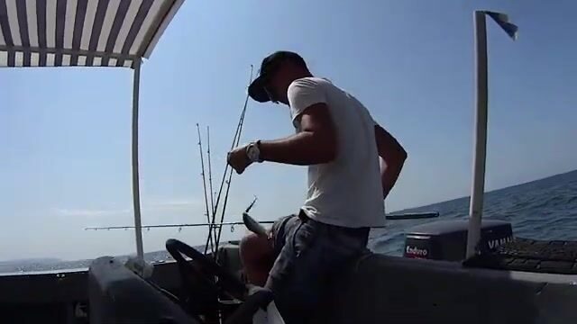 Ставриду в Витязево беру вполводы: у дна её нет