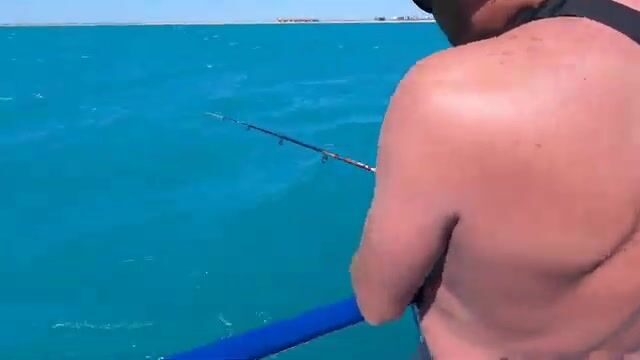 Как я вышел на морскую рыбалку из Витязева, где рыбу тут же жарит шеф-повар