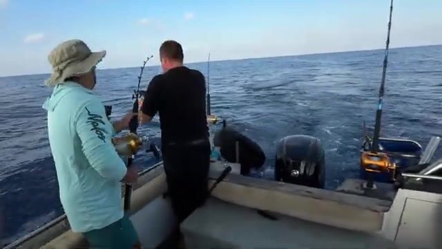 Три голубых тунца за один выход из Эйлатского залива