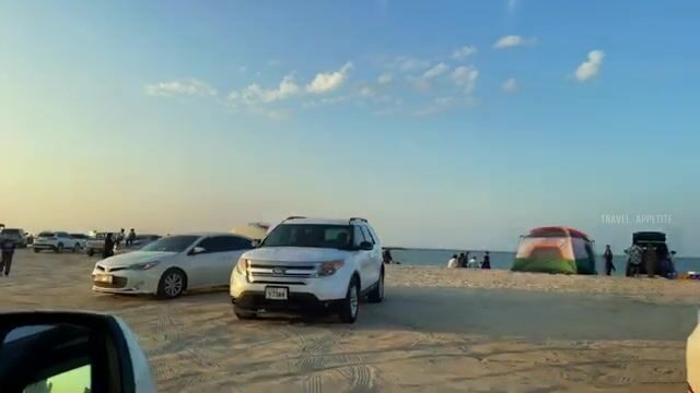Не ищи открытую воду у Аджмана - в мангровых протоках Аль-Зора рыба крупнее