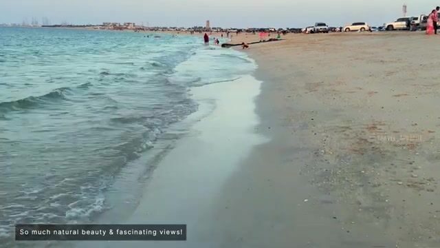 Не ищи открытую воду у Аджмана - в мангровых протоках Аль-Зора рыба крупнее