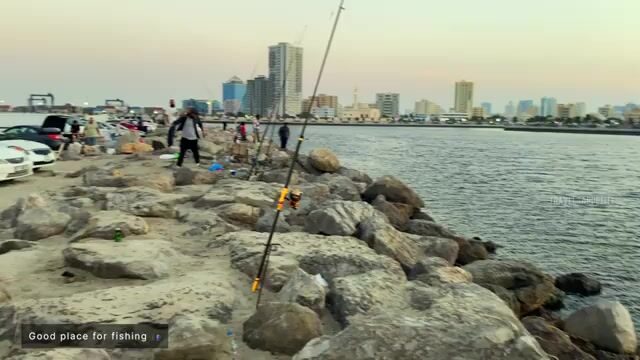 Не ищи открытую воду у Аджмана - в мангровых протоках Аль-Зора рыба крупнее