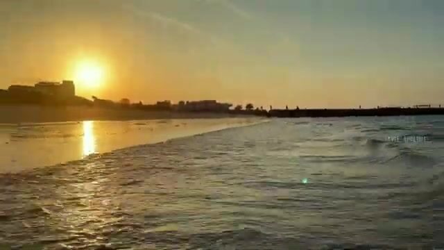 Не ищи открытую воду у Аджмана - в мангровых протоках Аль-Зора рыба крупнее
