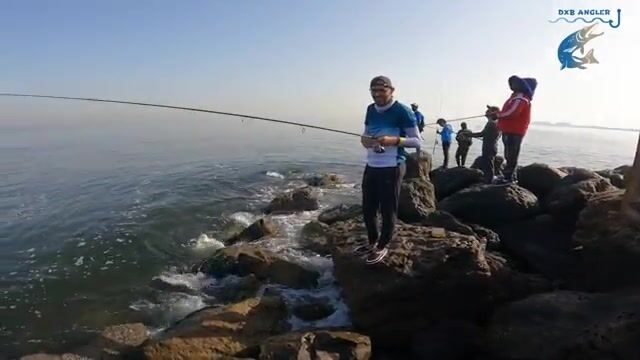 Почему в Аджмане слоу-джиг у Аль-Зора работает только на встречном течении?
