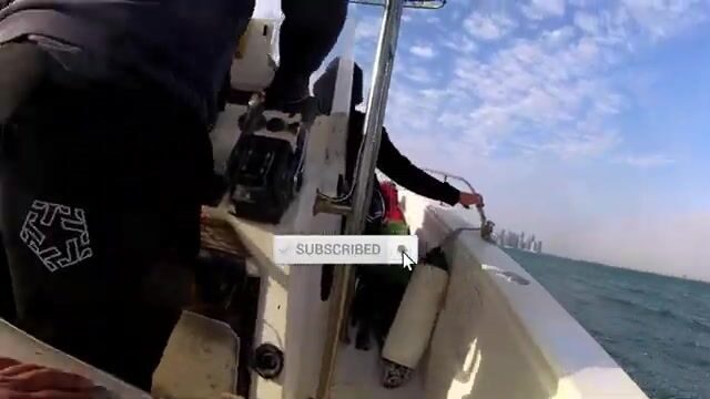 Рассвет у острова Аль-Сафлия: катер идёт за хамуром