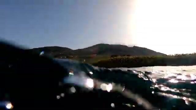 Осьминог в расщелине и три ушедшие в синеву рыбы: подводная охота у Алании
