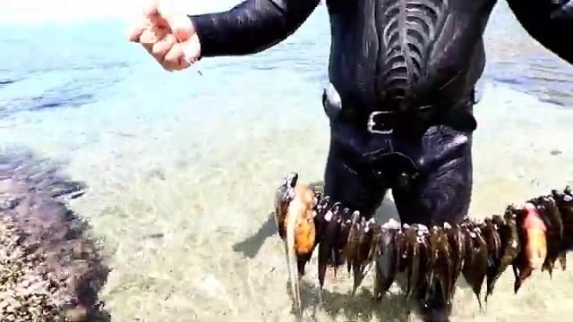Осьминог в расщелине и три ушедшие в синеву рыбы: подводная охота у Алании