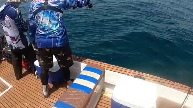 Джиггинг у Аль-Рувайса на катере DYA - полное меню хищника