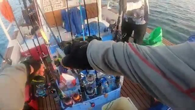 Джиггинг у Аль-Рувайса на катере DYA - полное меню хищника