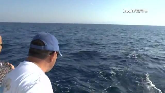 Двенадцать команд на турнире в Алачаты ловили луфаря взаброс