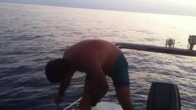 Синий тунец у берегов Алжира бьётся до последнего рывка