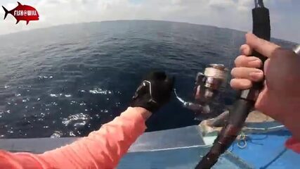 Андаманское море отдаёт стаи тунца под джиг на рассвете