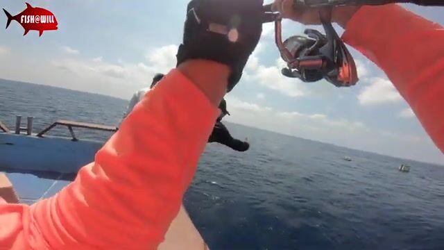 Андаманское море отдаёт стаи тунца под джиг на рассвете