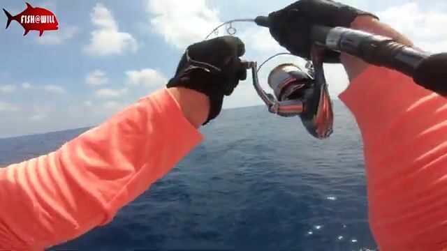 Андаманское море отдаёт стаи тунца под джиг на рассвете