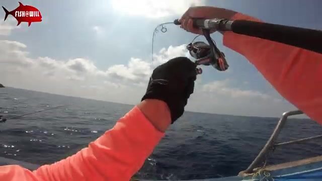 Андаманское море отдаёт стаи тунца под джиг на рассвете