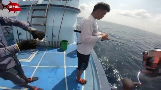 Андаманское море отдаёт стаи тунца под джиг на рассвете