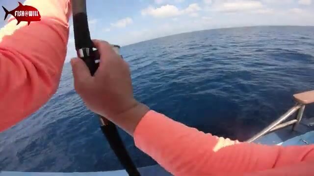 Андаманское море отдаёт стаи тунца под джиг на рассвете